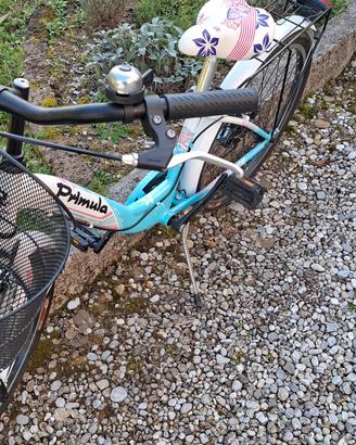 Bicicletta bambina 24