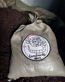 HUMUS DI LOMBRICO BIO AL 100%