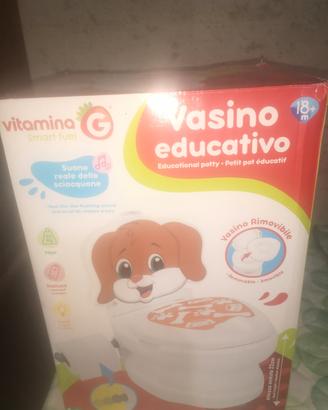 vasino educativo vitamina g