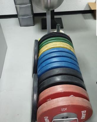 Eleiko Weightlifting 