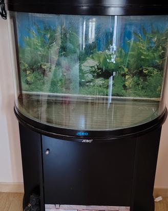 acquario Jebo 