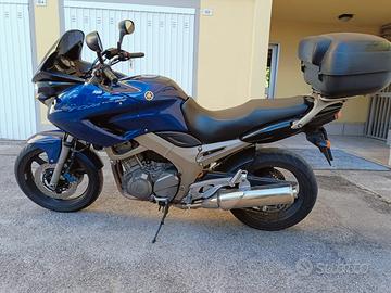 Yamaha TDM 900 - 2003