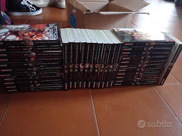 collezione aot