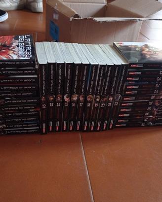 collezione aot