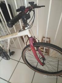 bicicletta da uomo 