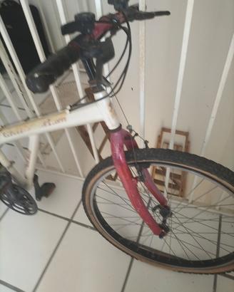 bicicletta da uomo 