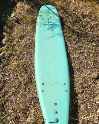 Surf da onda