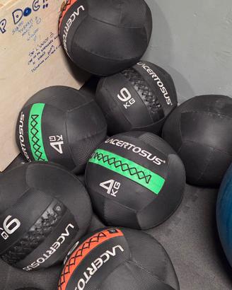 palle lacertosus crossfit