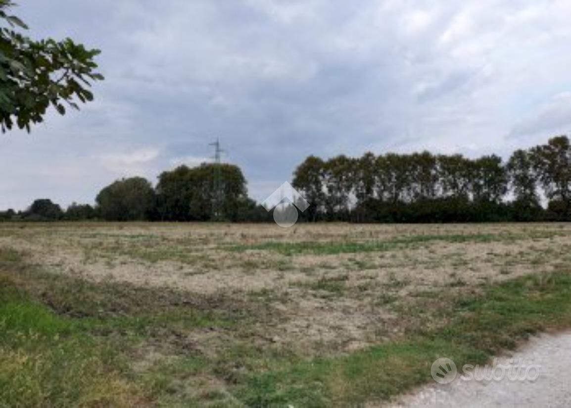 TERRENO A BUTTAPIETRA - Vista 3