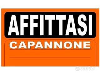 Capannone con scoperto Z.I