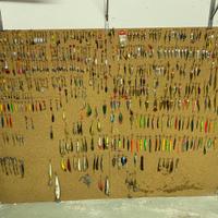 Ca. 500 Esche per tutte Pesca