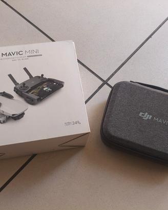 dji mavic Mini 