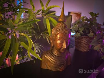 Busto Buddha Legno Intagliato 29 cm Ushnisha