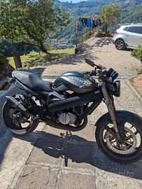  Raptor 125
