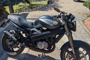  Raptor 125