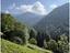 Immagine 11