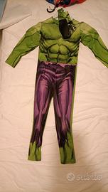 Costume Hulk