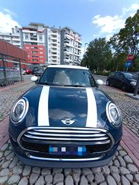 Mini 1.5 D Full optional 
