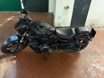 Harley Davidson Nightster