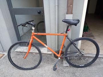 bicicletta mountain bike 