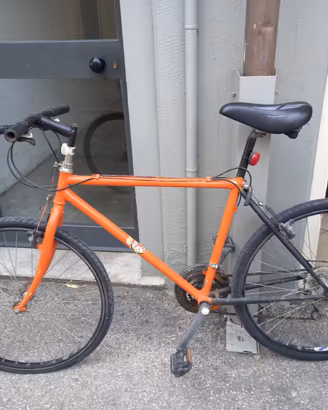 bicicletta mountain bike 