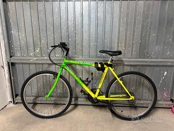 Bicicletta mountain bike