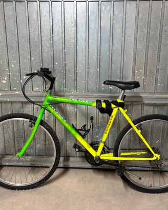Bicicletta mountain bike