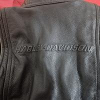 Giacca pelle Harley-Davidson FXRG 