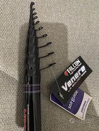 Canna bolognese venere viola 8metri