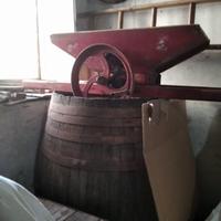 Botte, torchio e pigiatrice manuale