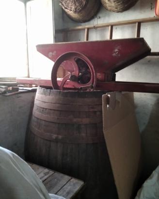 Botte, torchio e pigiatrice manuale