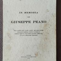 In memoria di Giuseppe Peano 1955