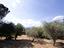 Immagine 24