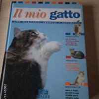 Il mio gatto