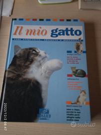 Il mio gatto