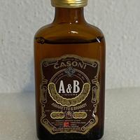 Liquore Casoni mignon