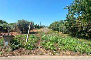 TER. RESIDENZIALE A SAN CESAREO
