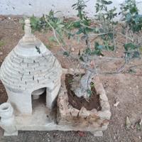 bonsai con trullo 