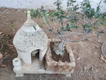 bonsai con trullo 