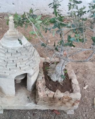 bonsai con trullo 