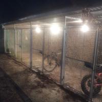 4 BOX CANI 2X2 RETE ELETTROSALDATA 