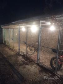 4 BOX CANI 2X2 RETE ELETTROSALDATA 