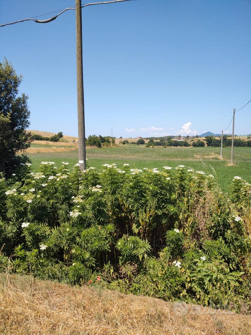 Terreno agricolo + capannone/fienile - Vista 2