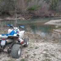 quad ltz 400