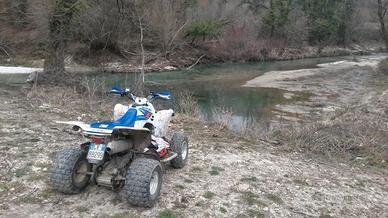 quad ltz 400