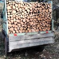 legna da ardere di leccio sardo 