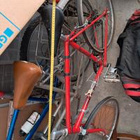 bici ciclismo Carraro 