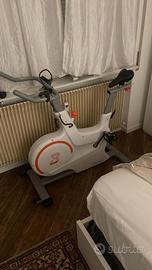 cyclette professionale 