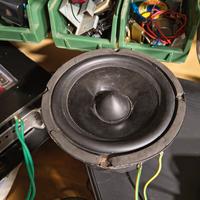 Coppia woofer medi Caos alta fedeltà 