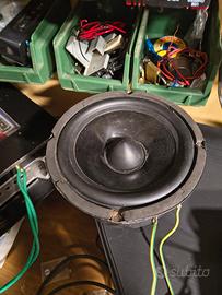 Coppia woofer medi Caos alta fedeltà 